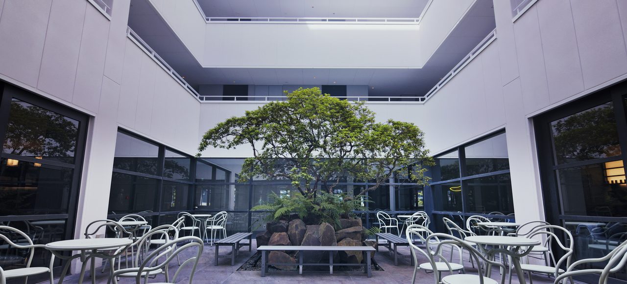 Courtyard seating beneath a skylight